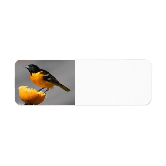 Baltimore Oriole retouradreslabels Etiket (Voorkant)