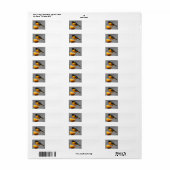 Baltimore Oriole retouradreslabels Etiket (Full Sheet)
