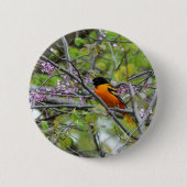 Baltimore Oriole Ronde Button 5,7 Cm (Voorkant)