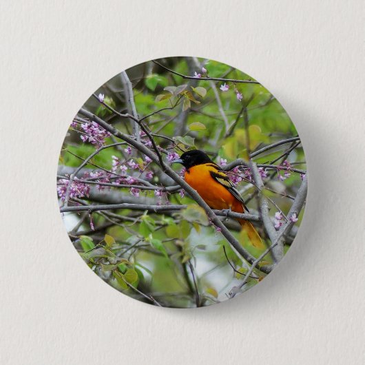 Baltimore Oriole Ronde Button 5,7 Cm (Voorkant)