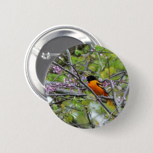 Baltimore Oriole Ronde Button 5,7 Cm (Voorkant /achterkant)