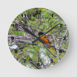 Baltimore Oriole Ronde Klok
