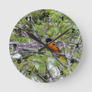 Baltimore Oriole Ronde Klok