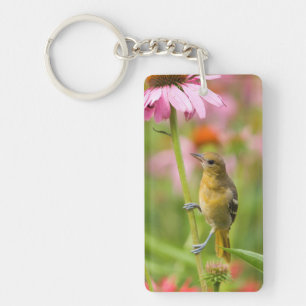 Baltimore Oriole Sleutelhanger