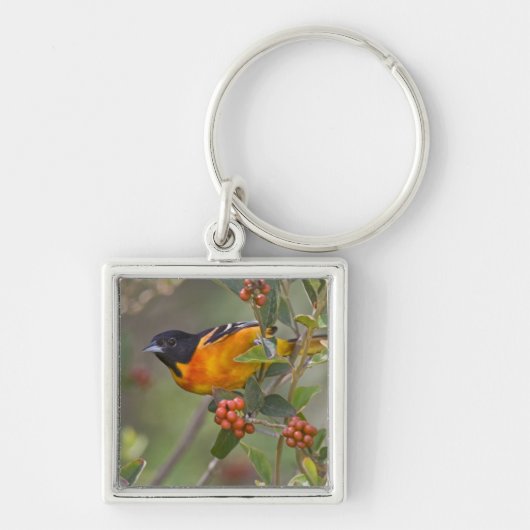 Baltimore Oriole Sleutelhanger (Voorkant)