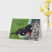 Baltimore Oriole stopt met zeggen *HAPPY BIRTHDAY* Kaart (Gele Bloem)