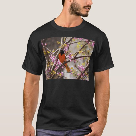Baltimore Oriole T-shirt (Voorkant)