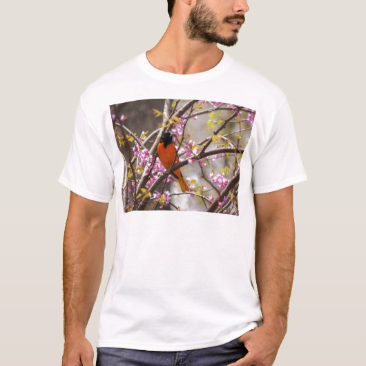 Baltimore Oriole T-shirt (Voorkant)