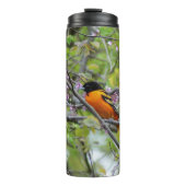 Baltimore Oriole Thermosbeker (Voorkant)