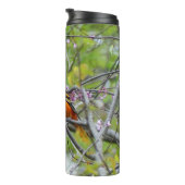 Baltimore Oriole Thermosbeker (Geroteerd rechts)