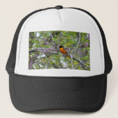 Baltimore Oriole Trucker Pet (Voorkant)