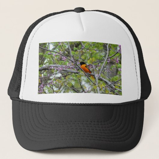 Baltimore Oriole Trucker Pet (Voorkant)