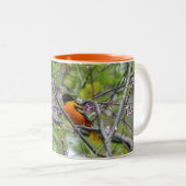 Baltimore Oriole Tweekleurige Koffiemok (Voorkant rechts)