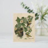 Baltimore Oriole - uit Audubon's Birds of America Briefkaart (Staand voorkant)