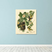 Baltimore Oriole - uit Audubon's Birds of America Canvas Afdruk (Insitu (Houten vloer))