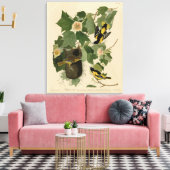 Baltimore Oriole - uit Audubon's Birds of America Canvas Afdruk (Insitu (Woonkamer))