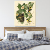 Baltimore Oriole - uit Audubon's Birds of America Canvas Afdruk (Insitu (Slaapkamer))