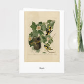 Baltimore Oriole - uit Audubon's Birds of America Kaart (Achterkant)