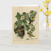 Baltimore Oriole - uit Audubon's Birds of America Kaart (Gele Bloem)