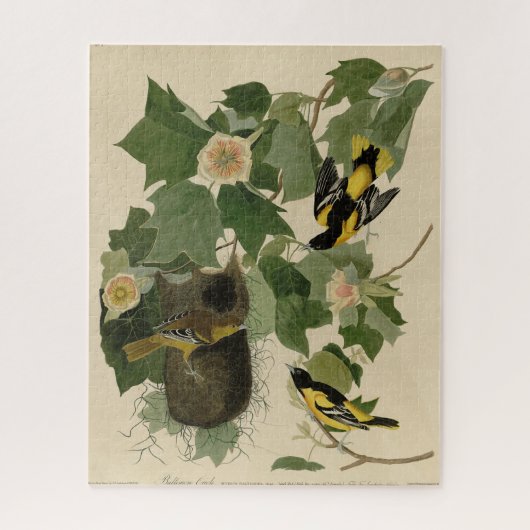 Baltimore Oriole - uit Audubon's Birds of America Legpuzzel (Verticaal)