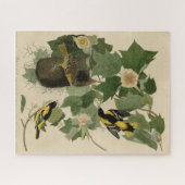 Baltimore Oriole - uit Audubon's Birds of America Legpuzzel (Horizontaal)