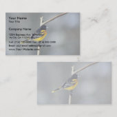 Baltimore Oriole Visitekaartje (Voorkant / Achterkant)