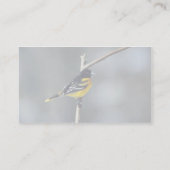 Baltimore Oriole Visitekaartje (Achterkant)