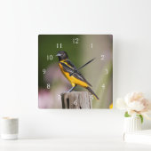 Baltimore Oriole vrouw in bloemtuin Vierkante Klok (Huis)