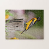 Baltimore Oriole vrouwtje in bloementuin Legpuzzel (Horizontaal)