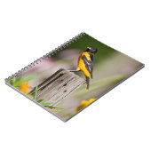 Baltimore Oriole vrouwtje in bloementuin Notitieboek (Linkerzijde)