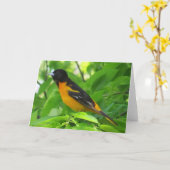 Baltimore Oriole Wenskaart Kaart (Gele Bloem)