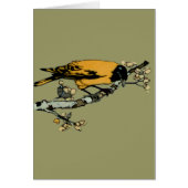 Baltimore Oriole Yellow  Bird Illustration (Voorkant)