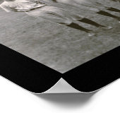 Baltimore Orioles Foto 1921 Poster (Hoek)