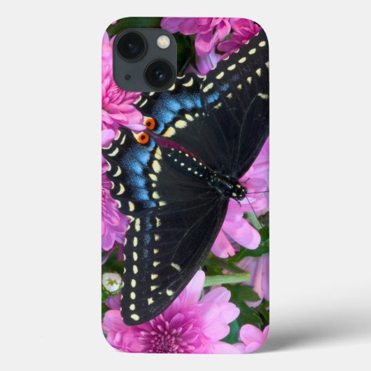 Baltimore Schakelvleugel Case-Mate iPhone Case (Achterkant)