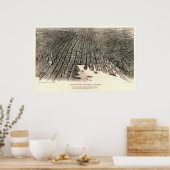 Baltimore (Spofford) - MEDIUM KWALITEIT, zie noot Poster (Keuken)