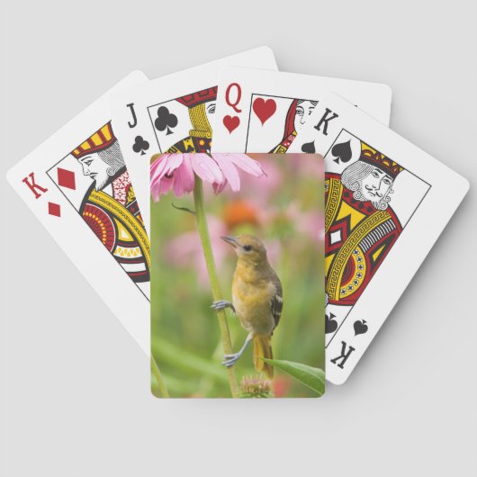 Baltimore-troepiaal Pokerkaarten (Achterkant)