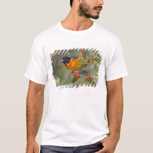 Baltimore-troepiaal T-shirt