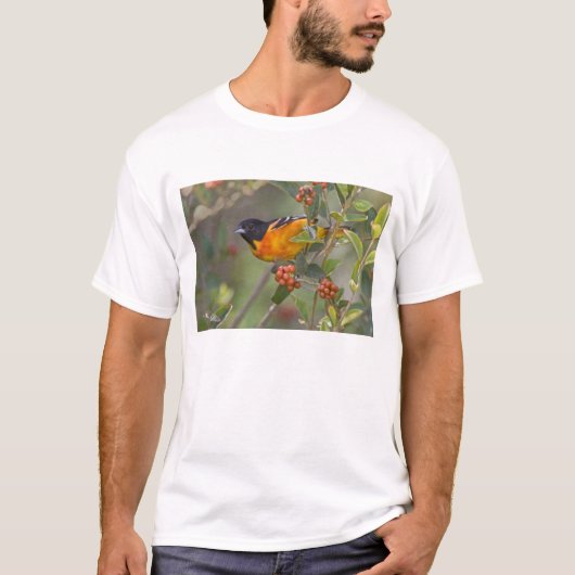 Baltimore-troepiaal T-shirt (Voorkant)