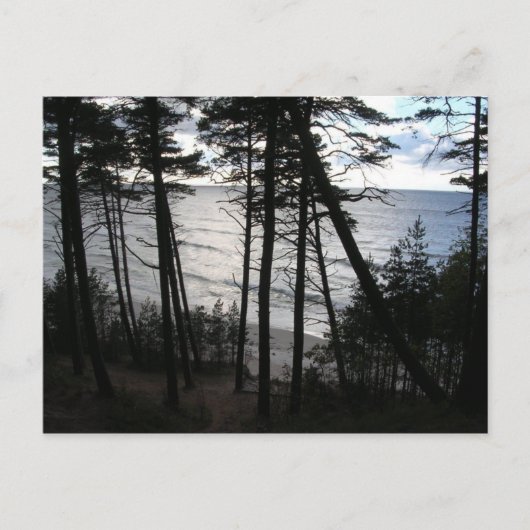 Baltische Zee Shore of Klaipeda Litouwen Briefkaar Briefkaart (Voorkant)