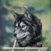 Balto Dog Acryl Bord (Neutraal)