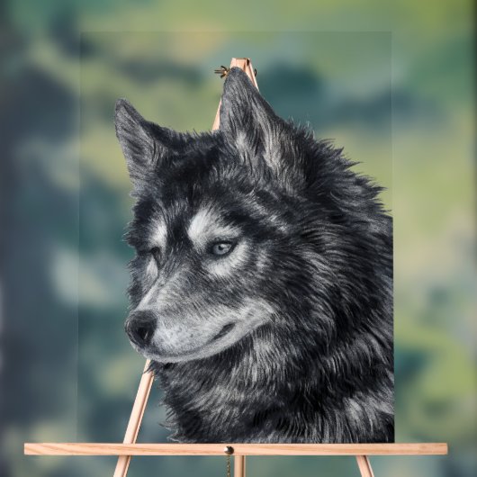 Balto Dog Acryl Bord (Neutraal)