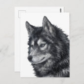 Balto Dog Briefkaart (Voorkant / Achterkant)