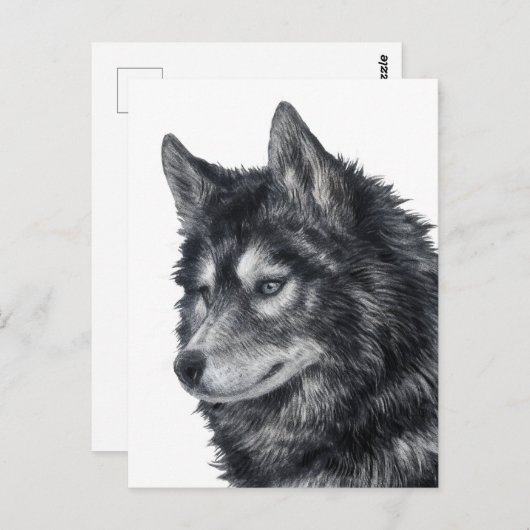 Balto Dog Briefkaart (Voorkant / Achterkant)