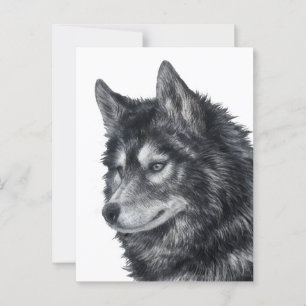 Balto Dog Briefkaart