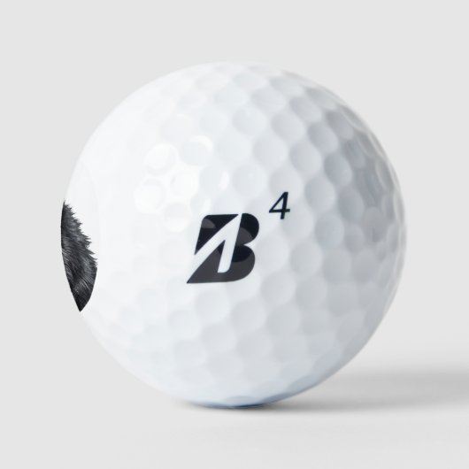 Balto Dog Golfballen (Logo)