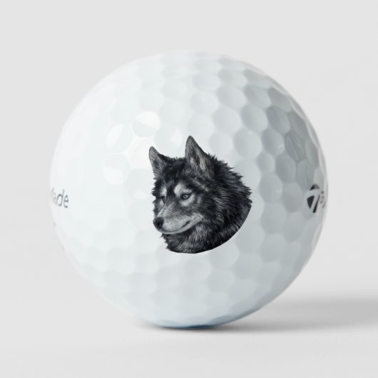 Balto Dog Illustratie Golfballen (Voorkant)
