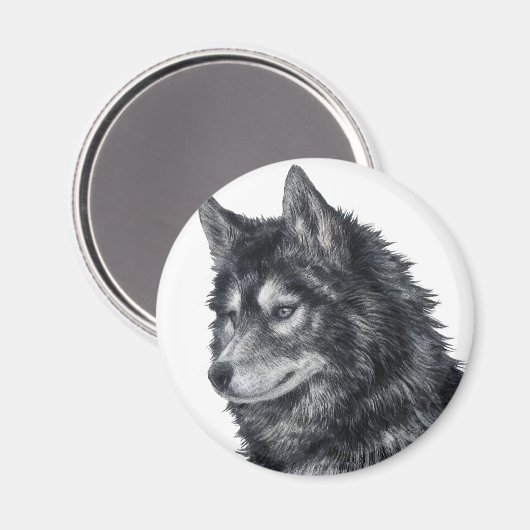 Balto Dog Magneet (Voorkant / Achterkant)
