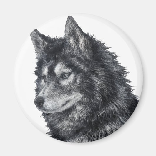 Balto Dog Magneet (Voorkant)