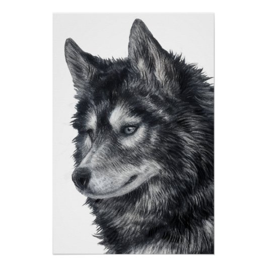 Balto Dog Perfect Poster (Voorkant)