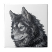 Balto Dog Tegeltje (Voorkant)